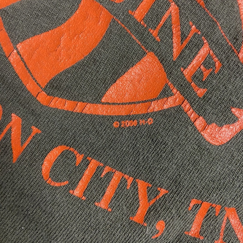 Vintage Y2K Harley Davidson Cropped T-Shirt Size Large Green Johnson City TN - Picture 6 of 10
